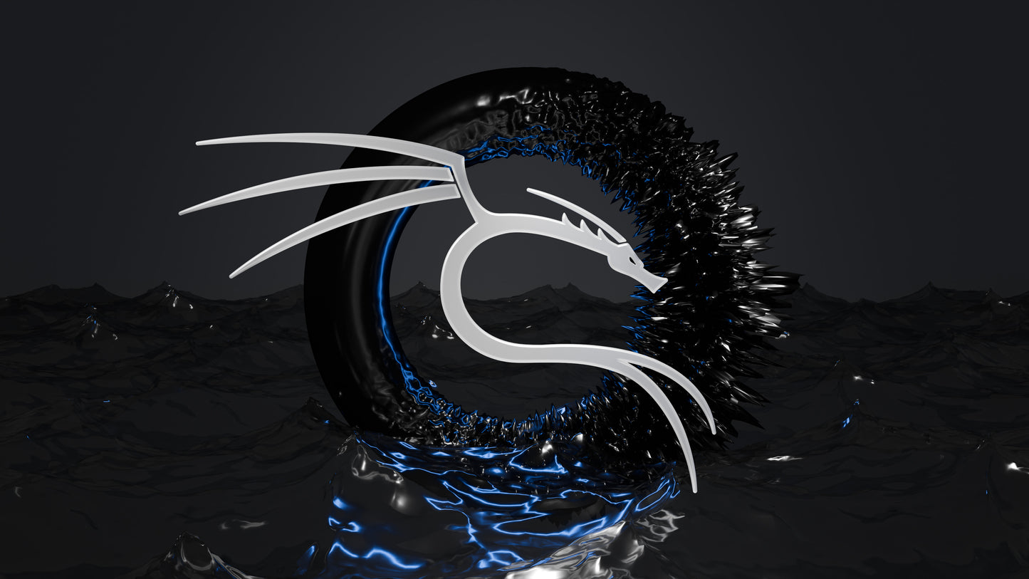 Beamo Kali Linux Bootable USB Version 2025.2 For Booting/Using and Installing Kali Linux